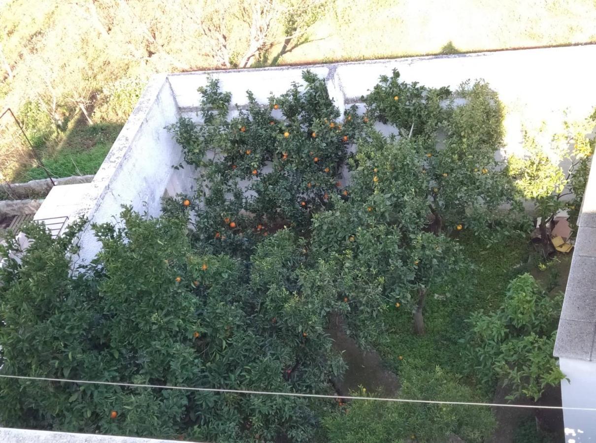 Villa Gardenia Ostuni Luaran gambar