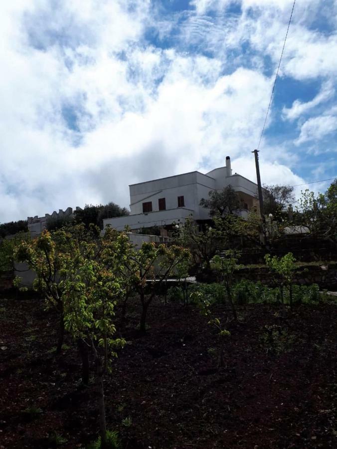 Villa Gardenia Ostuni Luaran gambar